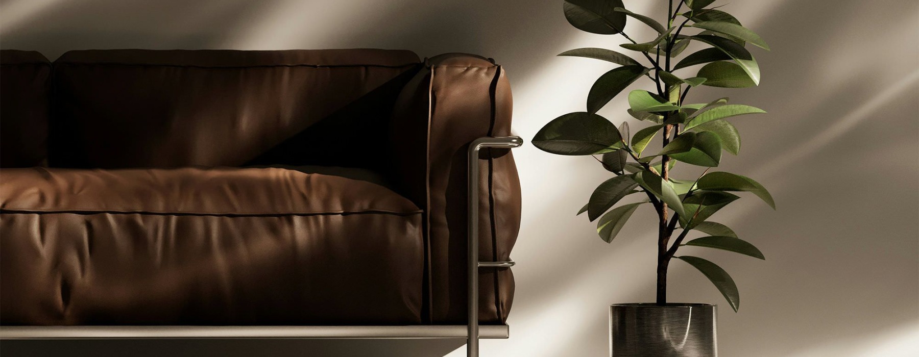 a room with a couch and a plant